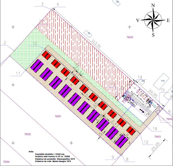 Layout